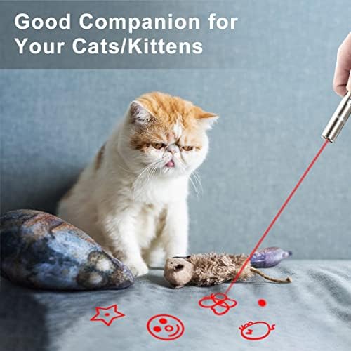 HOHUIGO Cat Toys for Indoor Cats Adults, LED Light Pointer Cat Dog Interactive Toy, Red Dot Dog Toy for Boredom, USB Rechargeable Kitten Teaser Chasing Light, Dog Cat Chaser Toys Pet Training Tool
