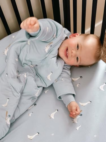 Image of GUNAMUNA Long-Sleeve Sleep Sack for Babies, Wearable Sleep Bags, Soft Rayon, 1.0 TOG, Essentials for Newborns