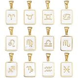 SUPERFINDINGS 12 piezas encantos concha natural colgantes rectangulares constelación blanco 12 signos zodiaco colgantes con marco de acero inoxidable dorado para creación DIY joyas collar