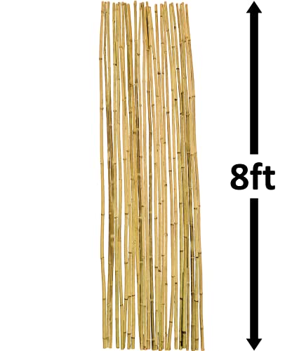 Dlh Western Natural Bamboo Poles, Eco-Friendly Plant Support Garden Stakes 8ft Long, Diameter of 3/4 inches (25-Count), Dlh Western bamboo - Thumbnail 2
