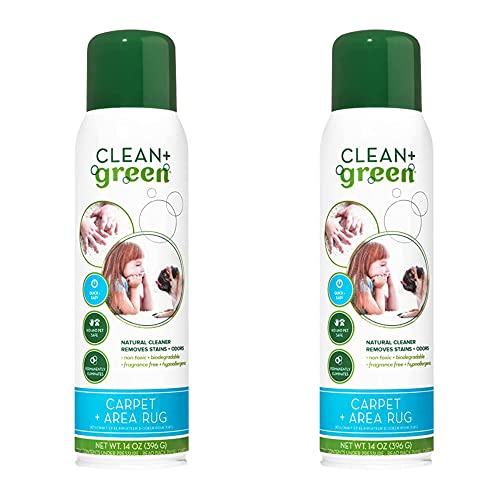 CLEAN+GREEN Natural Stain Remover and Odor Eliminator - Carpet Cleaner, Pet Supplies, Household Cleaning Products for Cat Litter & Housebreaking, Carpet Cleaner Solution (14 Oz, 2 Pack)