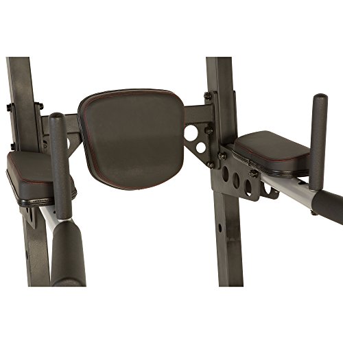 Fitness Reality X-Class High Capacity Multi-Function Power Tower