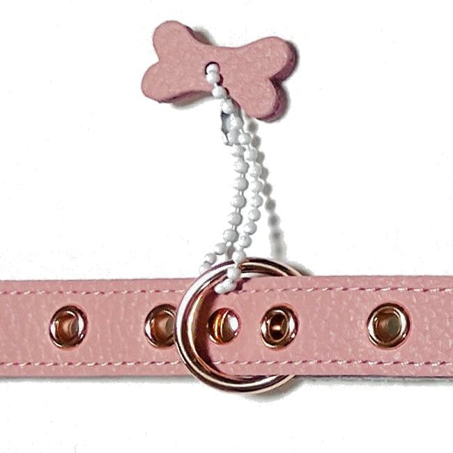 Amazon | バディーベルトハーネス・ブラッシュ(Blush)3.5号・BUDDYBELT