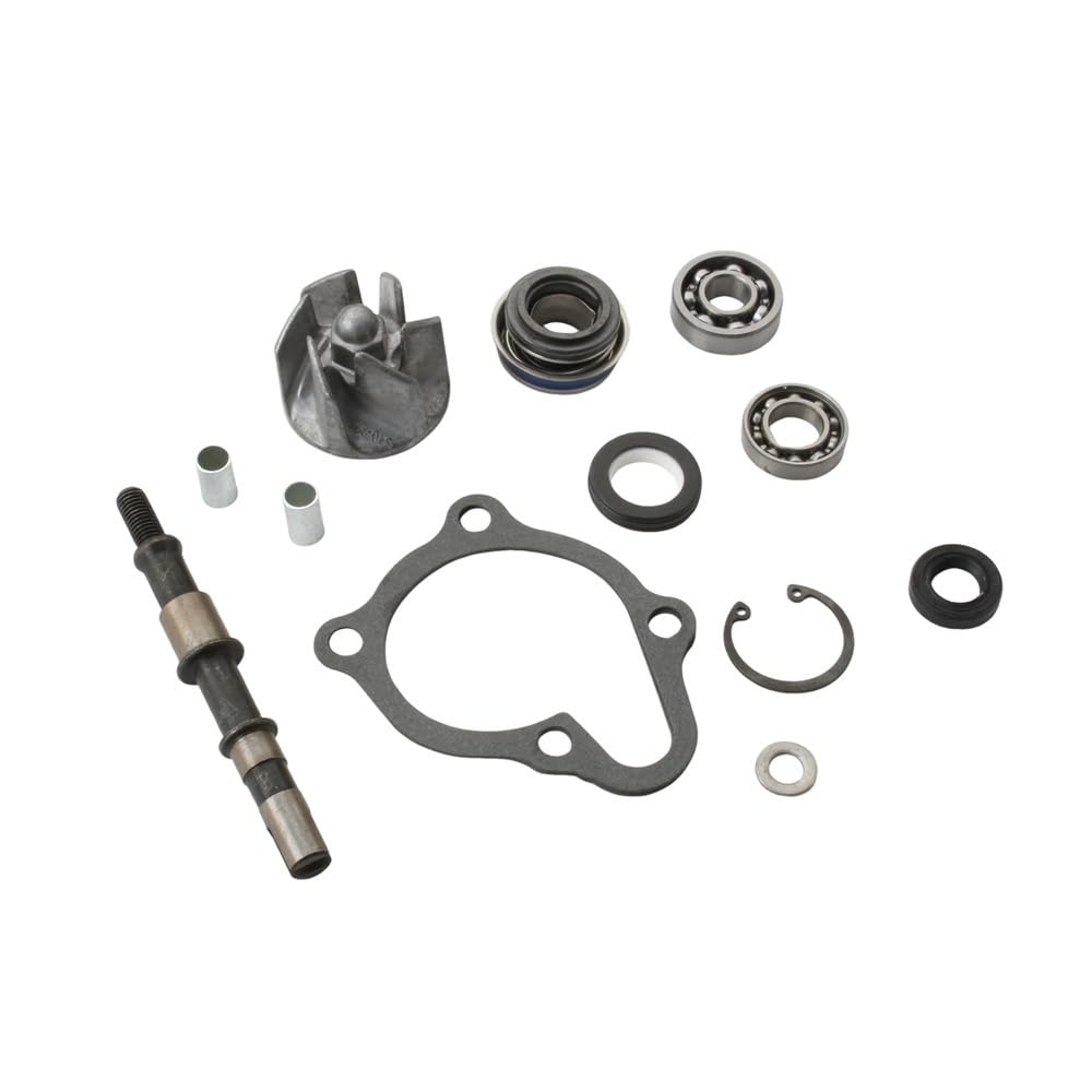 Pompa Acqua Gruppo Pompa Per kit pompa acqua Kymco Repair | Ego BW Gran Dink People S X-Citing 250cc 300cc 100110460 Ego250 Dink250