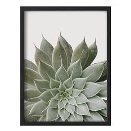 SIGNLEADER Framed Lush...