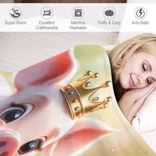 Couverture flannel cochon mignon idée cadeau anniversaire plaid