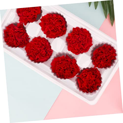 ABOOFAN 2pcs Flor Eterna Clavel Roja Secas miniatura 5