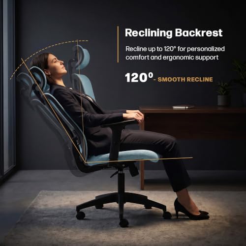 Image of DROGO Ergonaut Ergonomic Office Chair for Work from Home | Computer Chair with 2D Headrest, Armrests & Adjustable Lumbar Support | Breathable Mesh with 120 Recline, 1-Year Warranty (Blue & Blue)