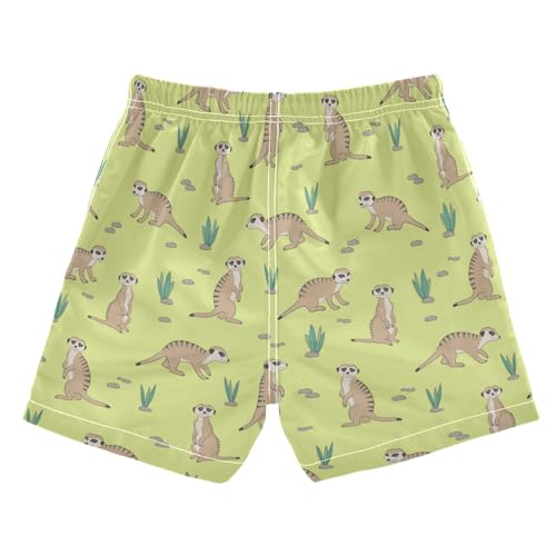 Wusikd Cute Meerkat Boys Swim Trunks Summer Drawstring Toddler Swim Board Shorts Boys Bathing Suit Beach Vacation 4 Multi2
