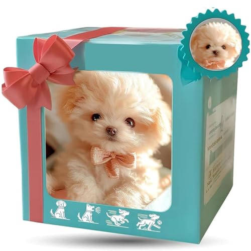 �{���̎q���̂悤�ɐU�镑���̎q���A2025�N�̐V�������A���̌����I�Ȏq���A��l�̂��߂̃j�R���AAI�j�R�h�b�O - �E�H�[�L���O�Abar���A���̗h�� White