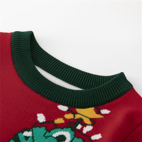 Boy Cute Dinosaur Crochet Sweaters Ribbed Knit Print Thick Tops Girl Long Sleeve Casual Warm Pullover3