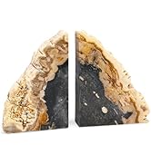 KALIFANO Petrified Wood Bookends Set - Real Natural Fossilized Wood Book End - Unique Stone & Cry...