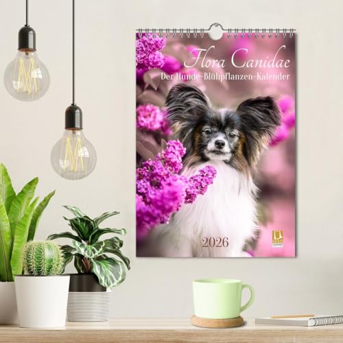 Flora Canidae - der Hunde-Blühpflanzen-Kalender (Wandkalender 2026 DIN A4 hoch), CALVENDO Monatskalender: Hunde und blühende Pflanzen streicheln die Seel, sie machen glücklich! (CALVENDO Tiere)