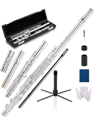 AKLOT Closed-Hole Concert C Flute