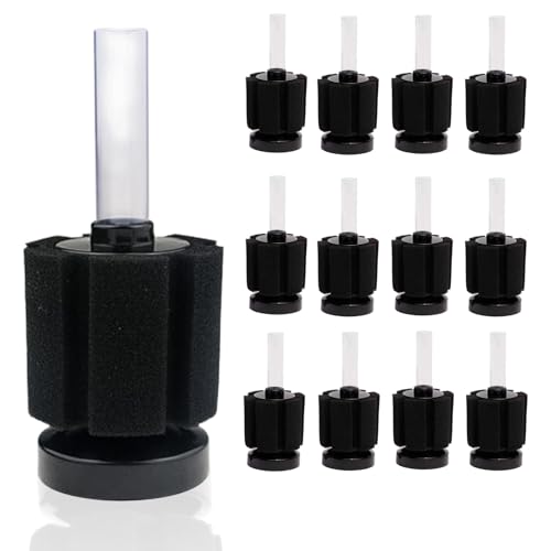 Lethornia X|W tB^[ ݎ XY 2835 O   납u  _J Mы ^  5/8/10/12 Zbg (12Zbg)