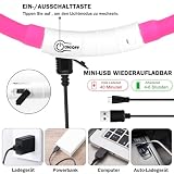 Nepfaivy Leuchthalsband Hund USB Aufladbar - Wasserdichtes Hundehalsband Leuchtend mit Verstellbarer Länge, LED Halsband für Hunde mit 3 Beleuchtungsmodi für Sicherheit, Rosa