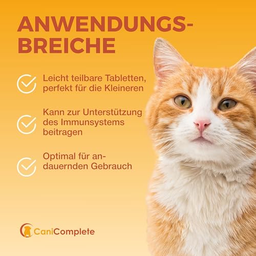 CaniComplete Vitamin B Komplex Hund – Mit B1, B2, B3, B5, B6, B9, B12 & – Multivitamin für Energiestoffwechsel, Nerven & Vitalität – Made in Germany