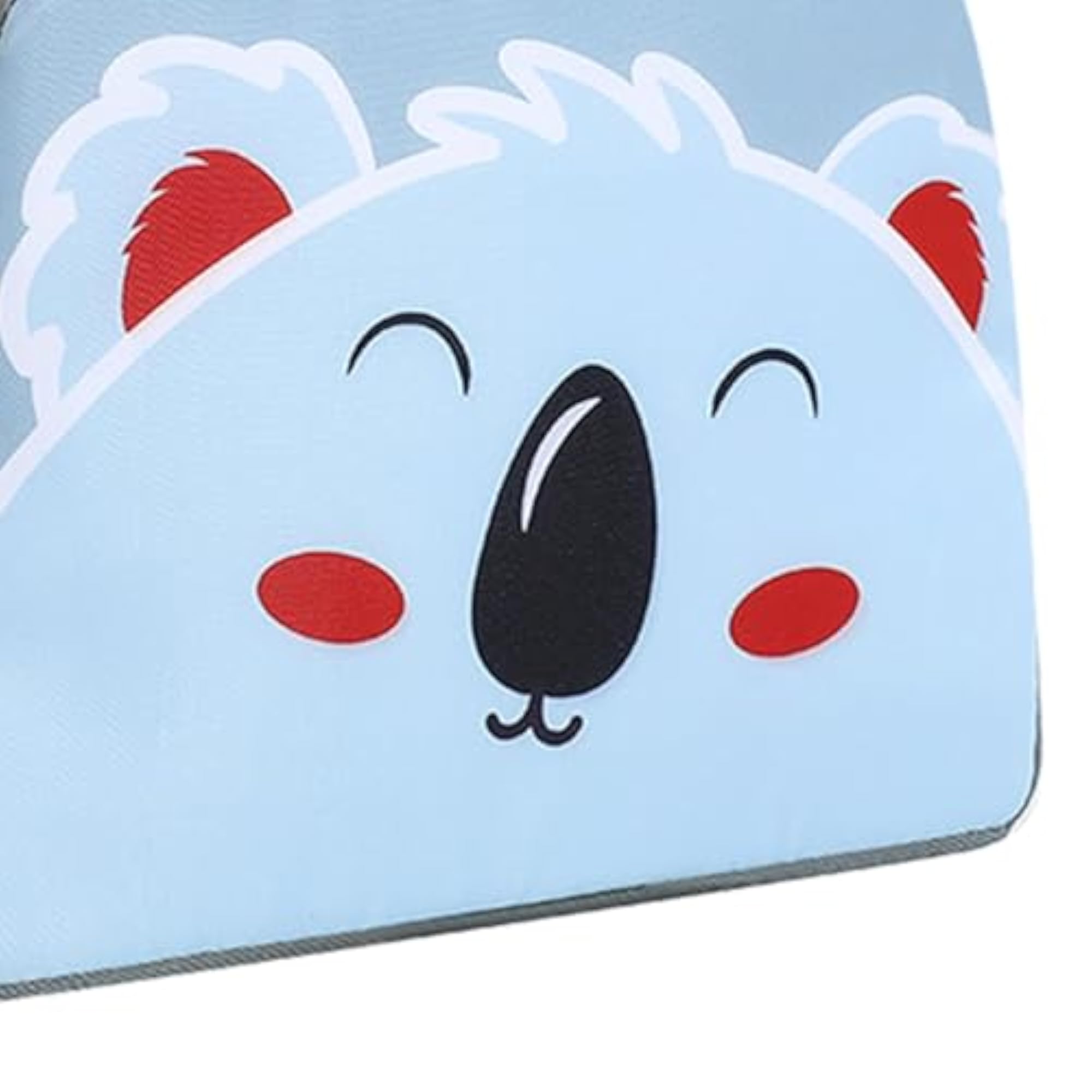 Portable Large Insulated Lunch Bag, Reusable