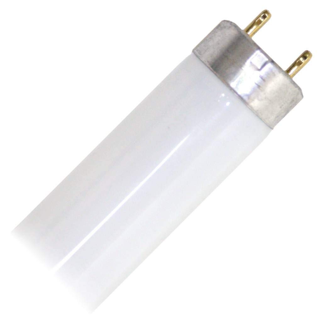 GE 15973 - F32T8/XL/SPX35/ECO/CVG Straight T8 Fluorescent Tube Light Bulb