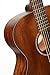 Cort L60MOP Luce 60 Mahogany OM Solid Top Acoustic Guitar, Open Pore