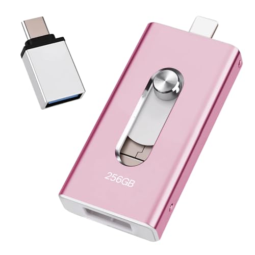Clé USB pour iPhone 256 Go le stockage parfait pour sauvegarder vos photos de vacances en voyage