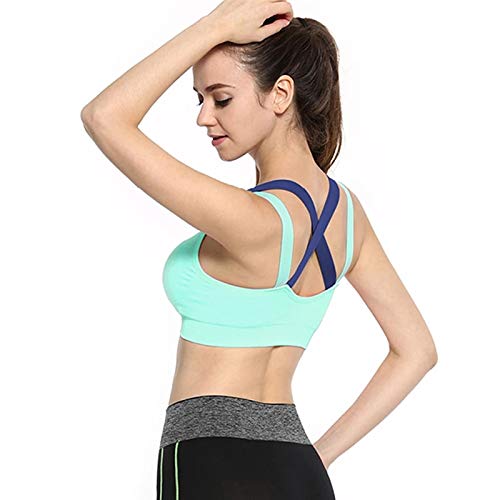 Wave Fashion Women’s Nylon Padded Wired Sports Bra