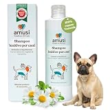amusi Shampoo per Cani con Dermatite 250ml - Made in Italy, Shampoo Cane Antiprurito, Effetto Calmante per Cute Sensibile - Cane Dermatite Ideale per Tutti i Tipi di Pelo e Cute Irritata