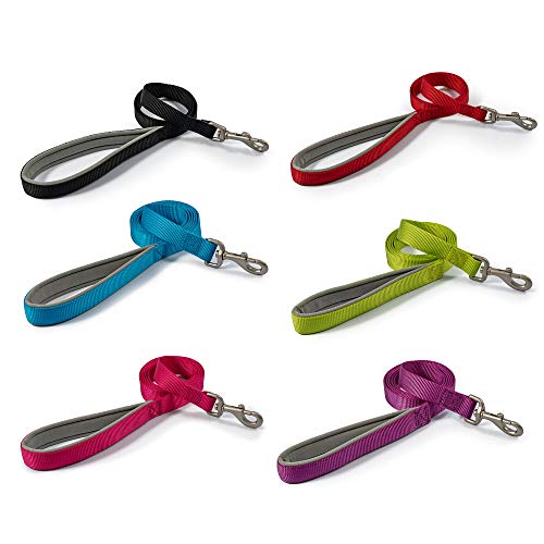 Ancol Viva Gepolsterte Schnappleine Limette, 100 x 1,2 cm