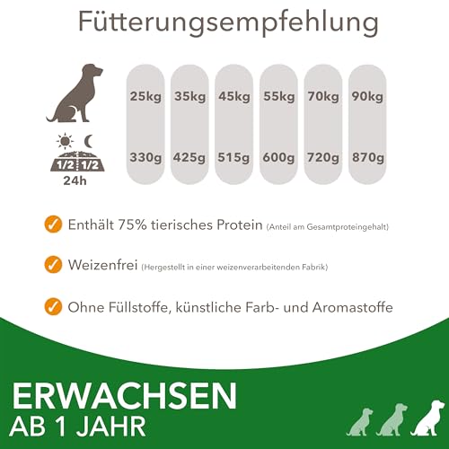 IAMS Hundefutter trocken mit Lamm - Trockenfutter für erwachsene Hunde ab 1 Jahr, geeignet für große Hunde, 3 kg