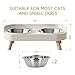Elevated Cat Bowl, Raised Cat Food and Water Bowl Set for Indoor Cats, Splash Proof with 2 Stainless Steel Pet Food Bowls for Cats and Puppies, Whisker Fatigue and Dishwasher Safe - White