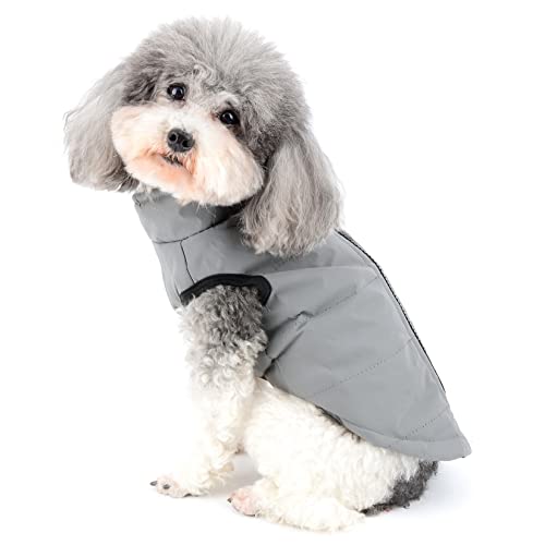 Zunea Winterjacken für Kleine Hunde Winter Gepolstert Kleidung Welpen Wintermäntel Winddicht Chihuahua Yorkie Katze Reißverschluss Hundebekleidung Grau S