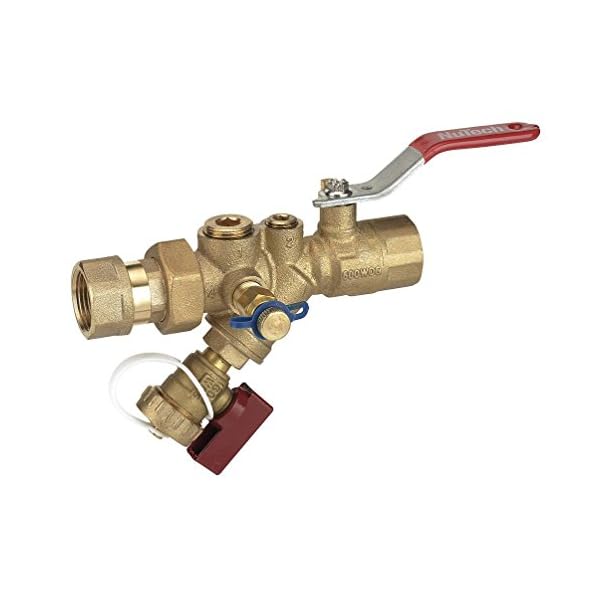 3/4" FNPT Combination Strainer Valve Commercial Valves and Fittings