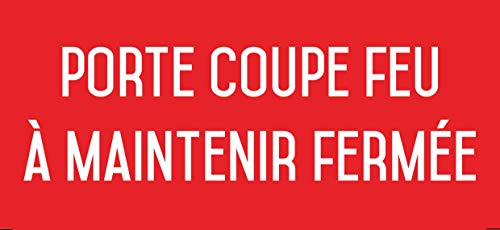 Porte coupe-feu à maintenir fermée - L.200 x H.100...