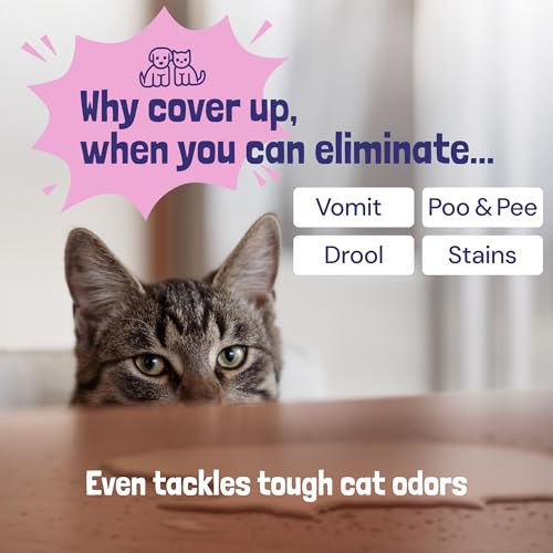 image for Sunny & Honey Pet Stain & Odor Miracle - 1 Gallon (128 Fl Oz), Light L