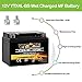 Weize YTX4L-BS High Performance-Rechargeable-Sealed Motorcycle Battery Compatible With Polaris Scrambler, Sportsman 90, Honda Scooters NQ50 Spree,Kawasaki 110 Can-Am DS70,Yamaha TTR125E/LE