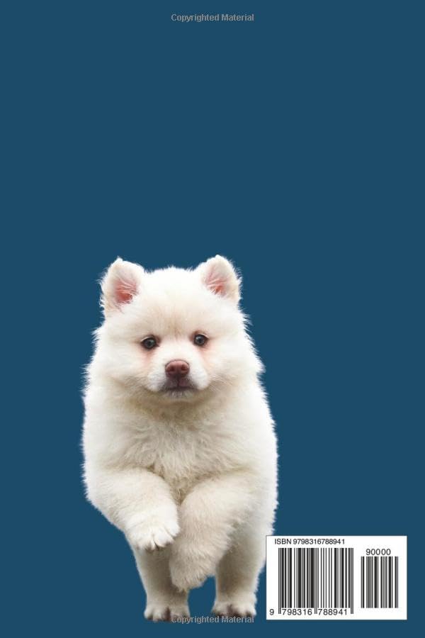 DOG TRAINING GUIDE: Master Every Command, Solve Common Behavior Problems, and Build the Perfect Bond With Your Dog - From Puppyhood to Advanced Obedience. - Image 2