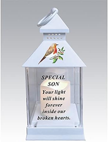 David Fischhoff Waterproof Robin Memorial Graveside Lantern With LED Candle Son DF19158-E