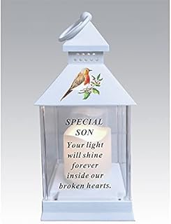David Fischhoff Waterproof Robin Memorial Graveside Lantern With LED Candle Son DF19158-E