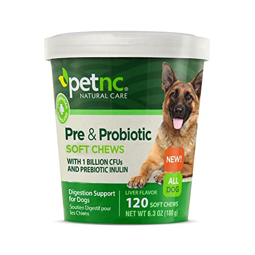 Ollie Pet Vitamins For Dogs Ollie Dog Food Ollie Belly Rubs