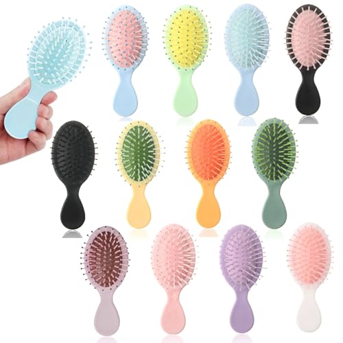 12 Pack Mini Hair Brush Bulk Wet Hair Brush for Travel Mini Brush for Most Hair Types Compact Travel Hairbrush for Teens & Adults Perfect for Bridesmaid Gifts Party Favors