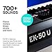 Korg EK-50 U Arranger Keyboard: 727 Sounds, 288 Styles, Built-in Speakers, Easy Controls, One-Touch Recording, Expandable Library via USB