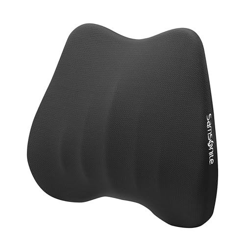 Samsonite Memory Foam Lumbar Support
