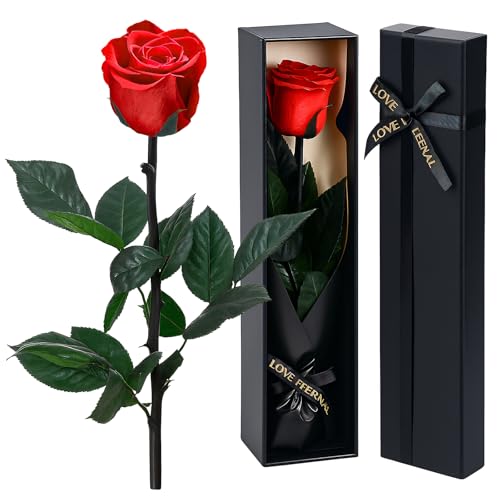 Qoosea Rosa Eterna Regalos para Mujer, Rosa Preservada Natural con Tallo Regalo para Mama Novia, Flores Preservadas Regalo Decoración para Navidad San Valentín Dia de la Madre CumpleañOs para Mujer