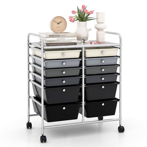 Image of LDAILY 12 Drawer Rolling Storage Cart, Craft Cart Organizer on Wheels w /Metal Frame, Large Capacity & Smooth Drawer, Rolling Cart w /Drawers for Classroom, Office