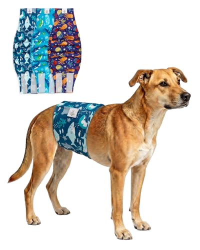 Image of CuteBone Dog Diapers Male Belly Bands 3 Pack for Male Dogs Reusable Puppy Wraps