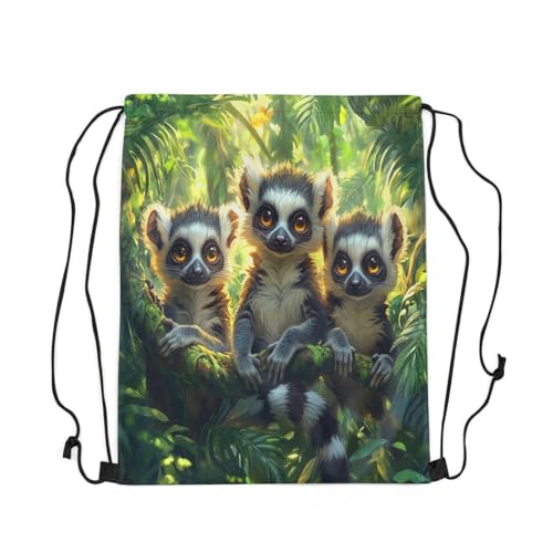 Erosebridal Sport Gym 3D Woodland Animal Draw String Back Bag,Jungle Raccoon Drawstring Backpack for Swim Yoga Camping Traveling,Lovely Wildlife String Backpack,Palm Plants Drawstring Bags,13x15.73