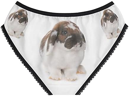 Dwarf Lop-Eared Rabbit Panties, Dwarf Lop-Eared Rabbit Underwear, Briefs, Cotton Briefs, Funny Underwear, Panties For Women