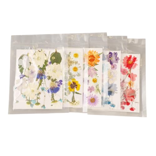 Kit de flores prensadas Pissente, colección vibrante para manualidades miniatura 2