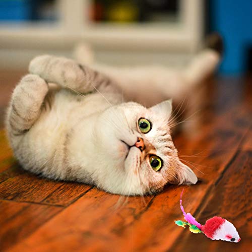 Falllea 20 Stück Pelzige Kätzchen Mäuse Katze Spielzeug Mit Rassel und Federschwänzen - Haustier Catcher für Katzen Spaß