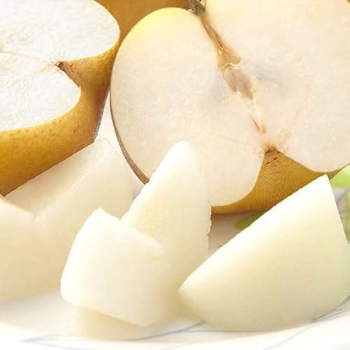 R`Y a  3kg (Gi/6?9ʓ/퉷i) Ȃ Ȃ  a Ȃ R` Yn ʕ t[c 